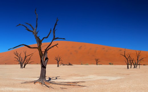 Dead Vlei