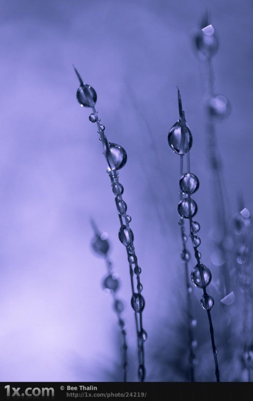 Drops of Silver