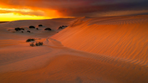 Dunes at Eucla, Australia