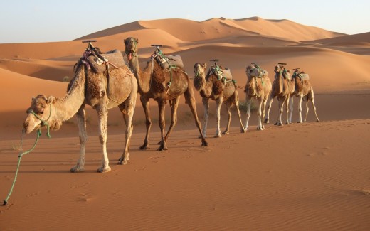 Mysterious Morocco Desert