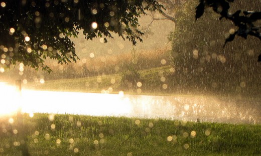 Rain Drops on my Window