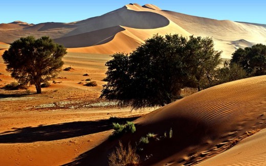 SUN SHADE OVER DESERT