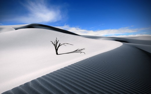 The Lonesome Dune