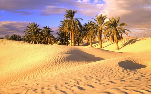 Tunisian desert