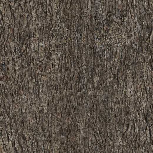 tileable tree bark texture