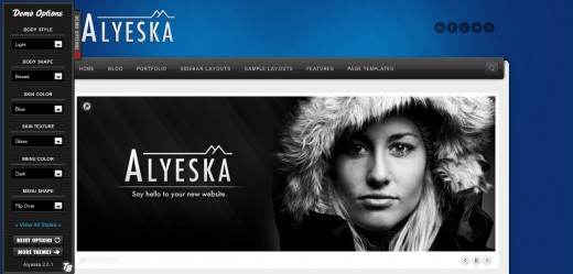 Alyeska Responsive WordPress Theme