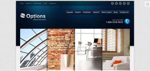 Options Business Corporate Premium WordPress Theme