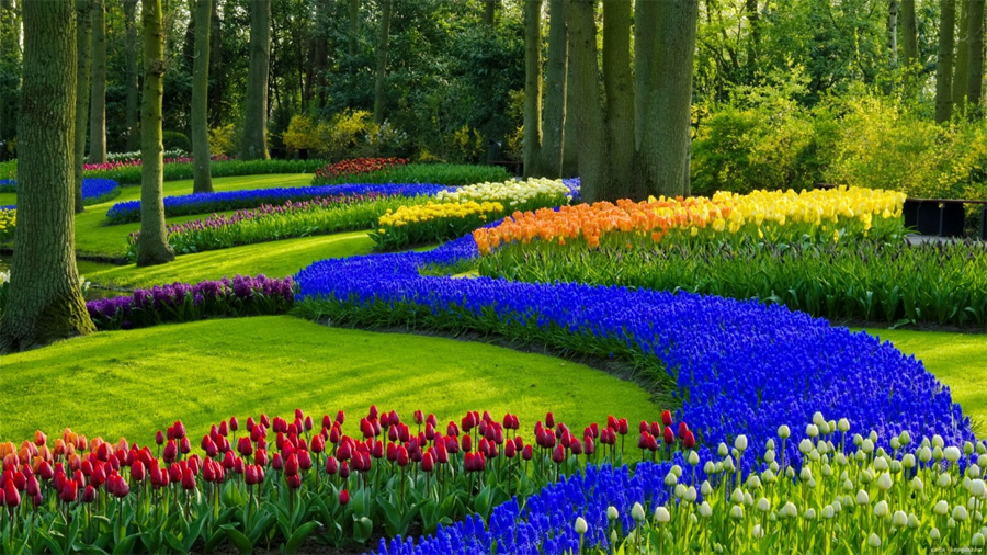 17 Beautiful Garden Wallpapers For Desktop Dotcave