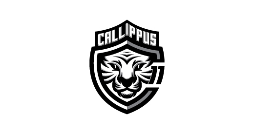 tiger logos designs