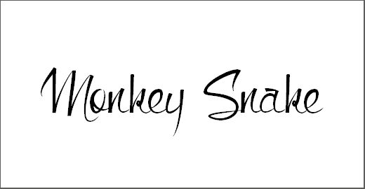 Monkey Snake Font